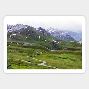 Mountain Views in Denali National Park, Alaska Sticker